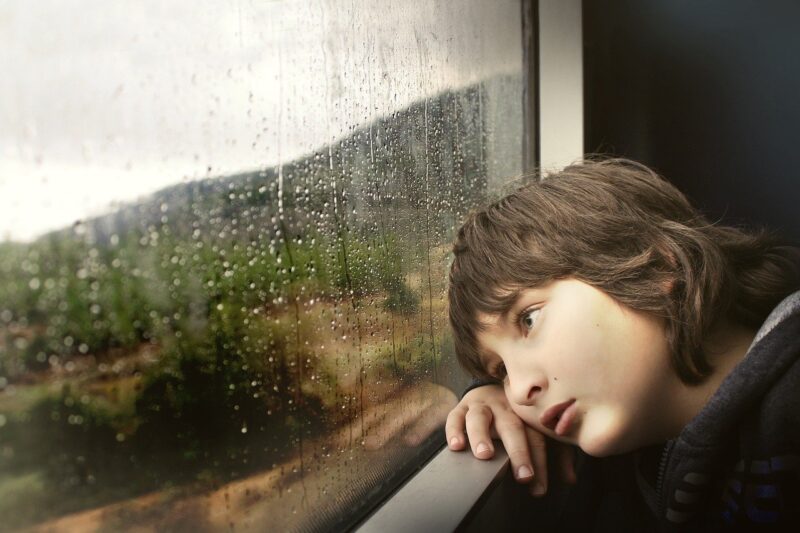 『いのちの車窓から』のイメージを想起できるよう、車窓から眺める少年の写真を貼りました。