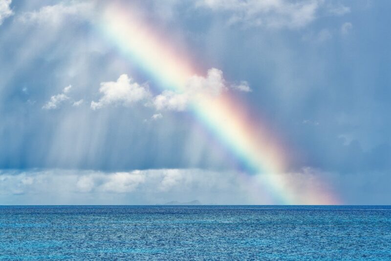 スイミーに込められた「生きることのすばらしさ」「個性」のイメージから虹と海の画像を貼りました。